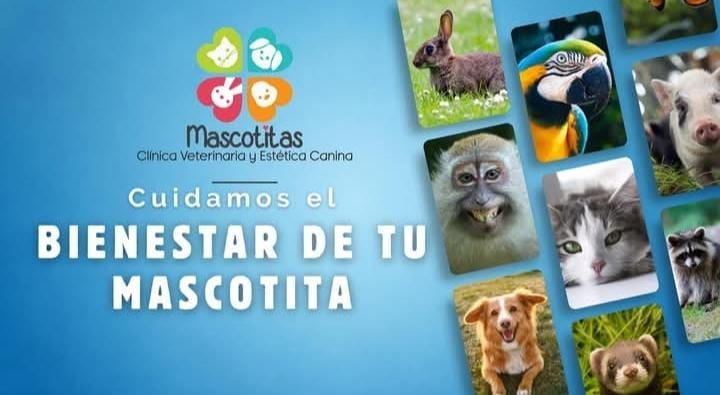 Clínica Veterinaria Mascotitas, cuidamos el bienestar de tu mascota