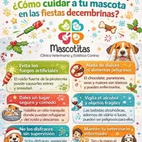Consejos para cuidar a tu mascota